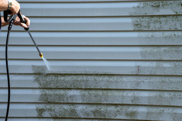 Best Siding for New Construction  in Salem, VA